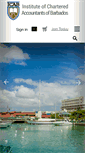 Mobile Screenshot of icab.bb